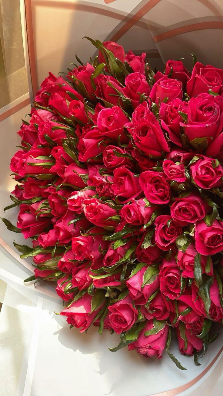 Secret Garden's Aromatic Embrace